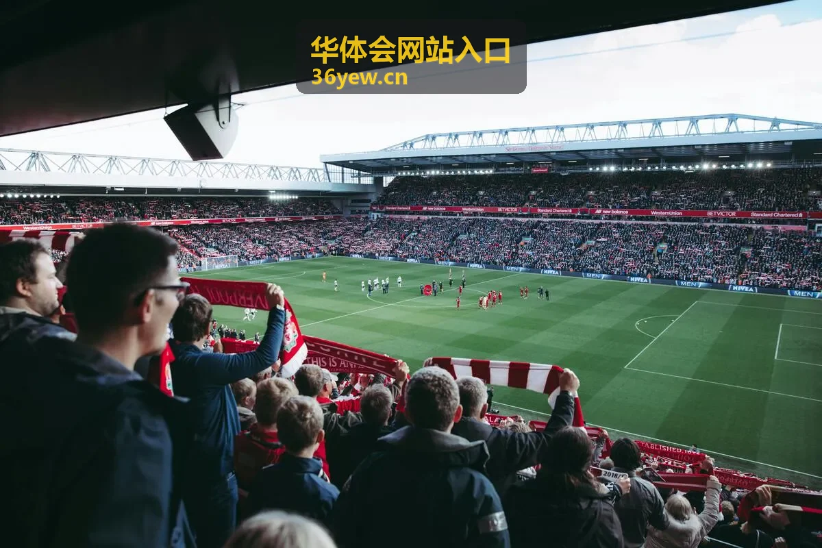 华体会网站入口平台入口封面